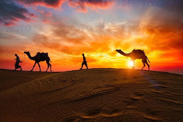 Indian cameleers