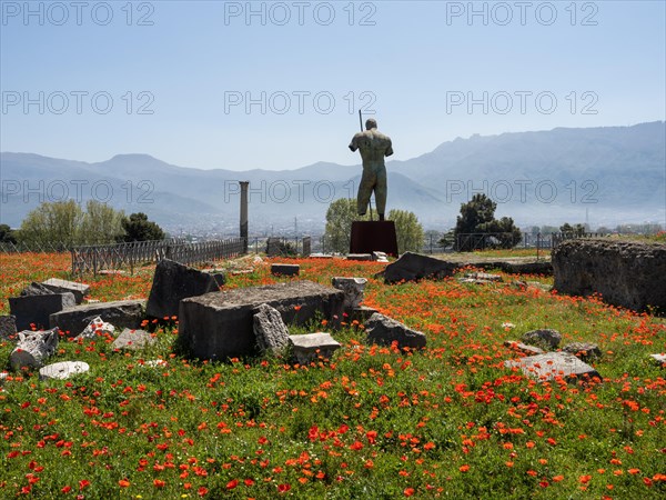 Ruins and statue in a poppy field