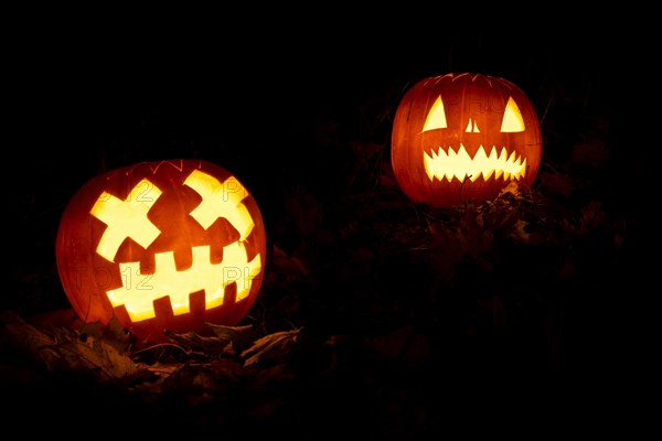 Glowing pumpkins at night