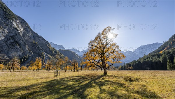 Panorama