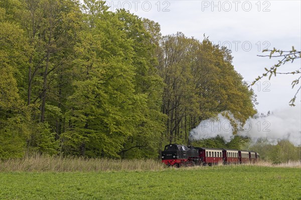 Molli steam train