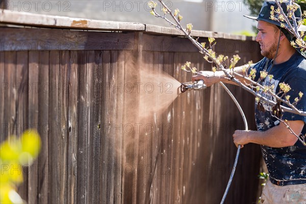 Professional painter spraying house yard fence with wood stain