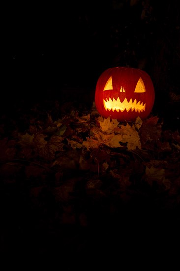 Glowing pumpkins at night