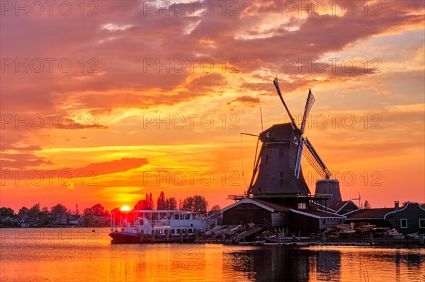 Netherlands rural scene