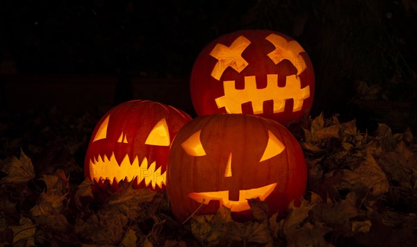 Glowing pumpkins at night