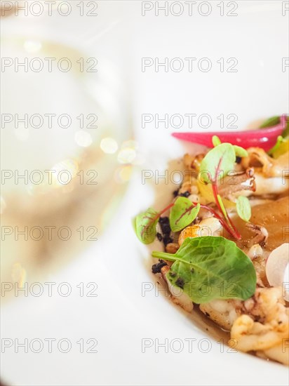 Macro close up of atlantic squid plated with potato rich sauce cream reduction