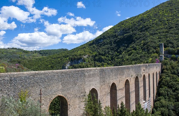 Bridge of the towers