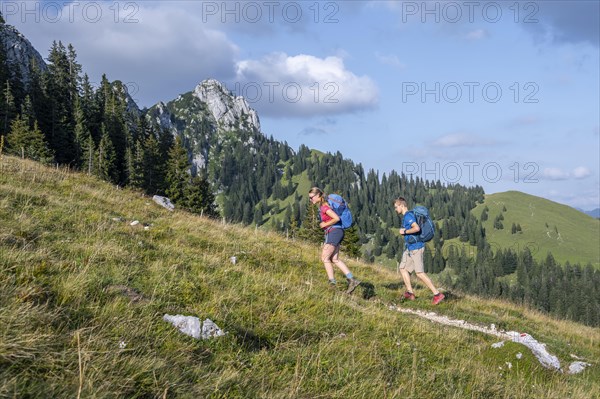 Two hikers