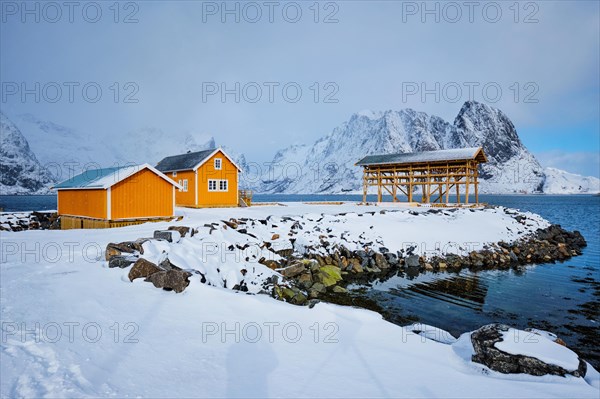 Traditional yellow rorbu house in drying flakes for stockfish cod fish in norwegian fjord in winter Sakrisoy fishing village