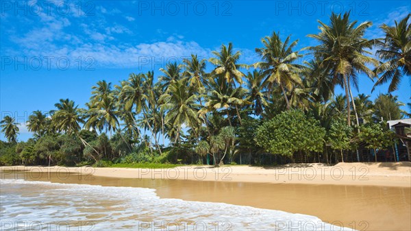 Tropical paradise idyllic beach Sri Lanka