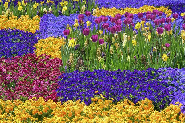 Spring bed at the Residenzplatz