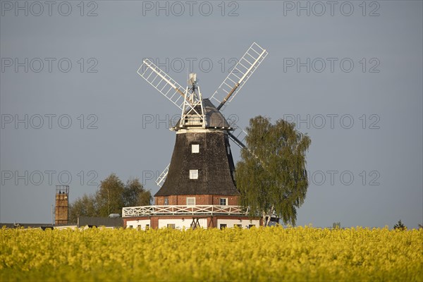Hollaender Windmill