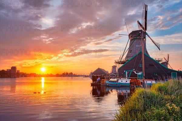 Netherlands rural scene