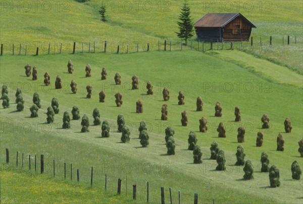 Heuhaufen auf dem Feld