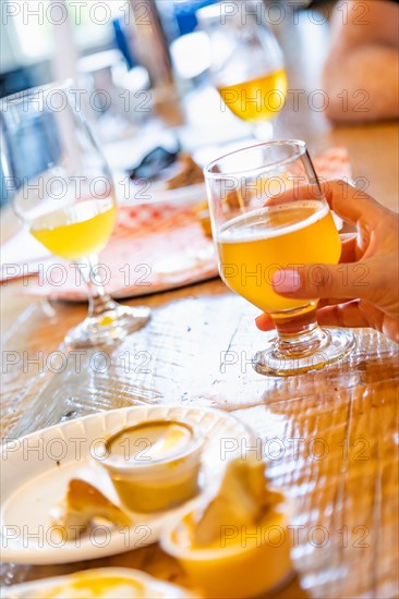 Female hand holding glass of micro brew beer at bar