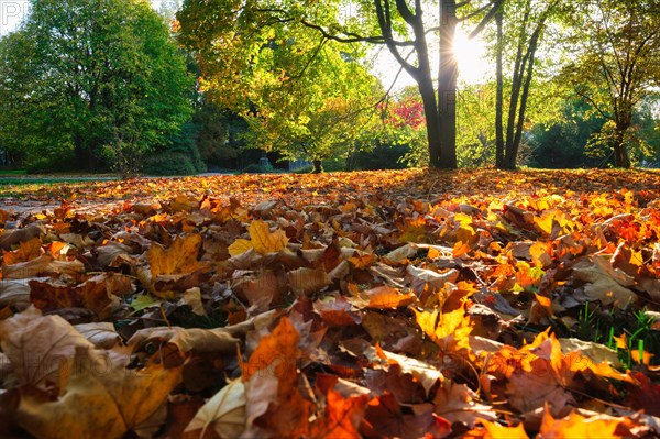 Golden autumn fall October in famous Munich relax place