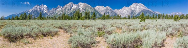 Pano of the grand teton national park mountain range in wyoming