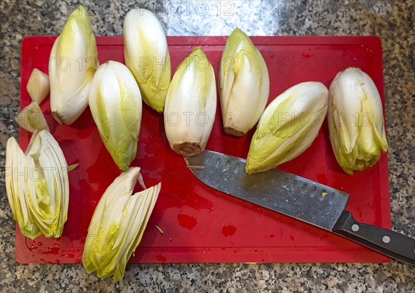 Fresh chicory with knife on a cutting board