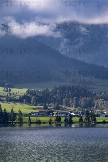 Walchsee