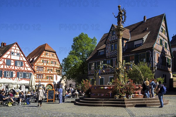 Market square with half-timbered houses and St. Mary's column