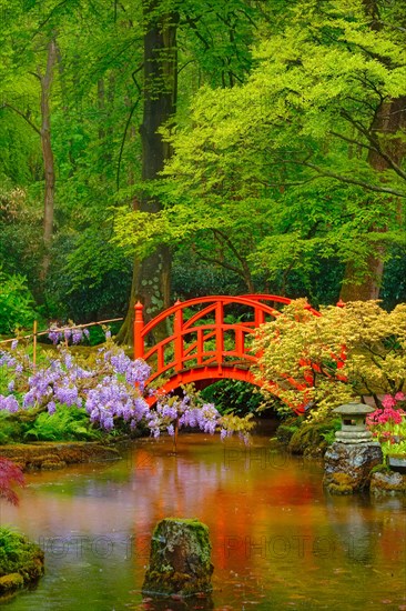 Small bridge in Japanese garden