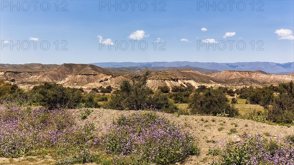 Hilly landscape in the Tabernas desert