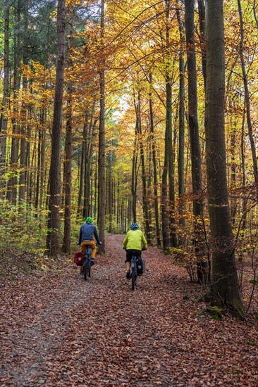Two cyclists on path through autumnal forest