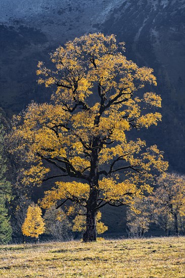 Grosser Ahornboden in autumn