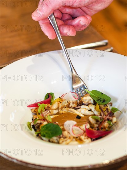 Hand with fork picking from a dish of pan cooked grilled flambe atlantic squid iplated with potato rich sauce cream reduction