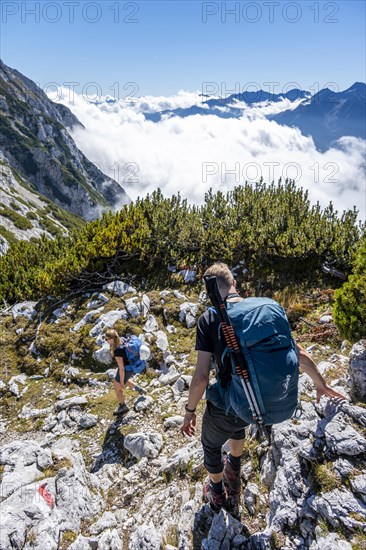 Hikers on a hiking trail