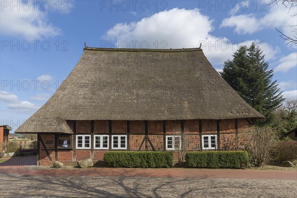 Historic thatched village barn