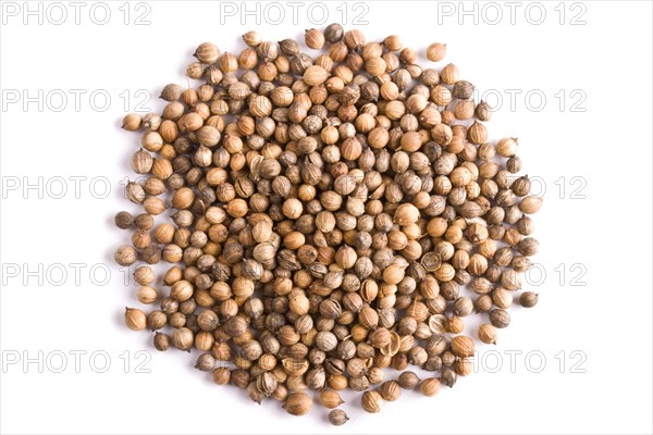 Pile of coriander close up on white background