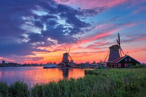 Netherlands rural scene