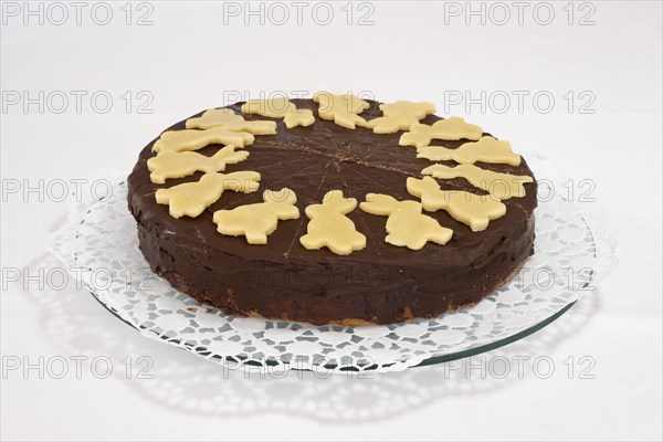Homemade chocolate cake