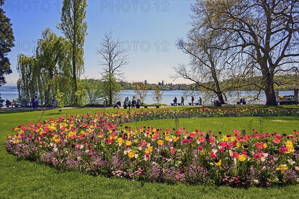 Circle bed with tulips Tulipa9 and tourists