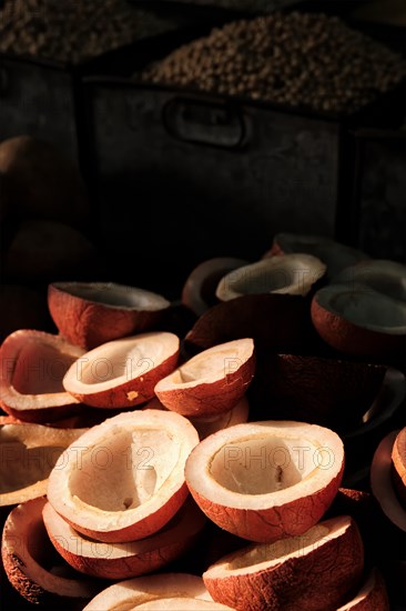 Coconuts in vegetable market in street lit by sun. Sardar Market