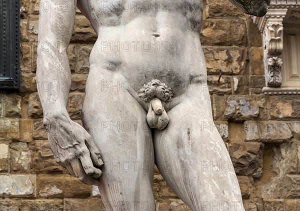 Intimate parts of Michelangelo's statue of David at Piazza della Signoria