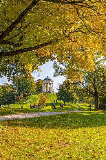 Autumn trees with yellow foliage