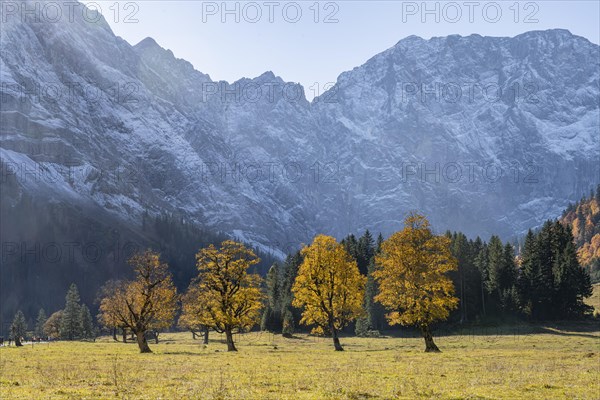 Karwendel