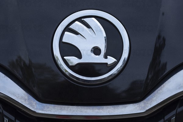 Car brand of the company Skoda