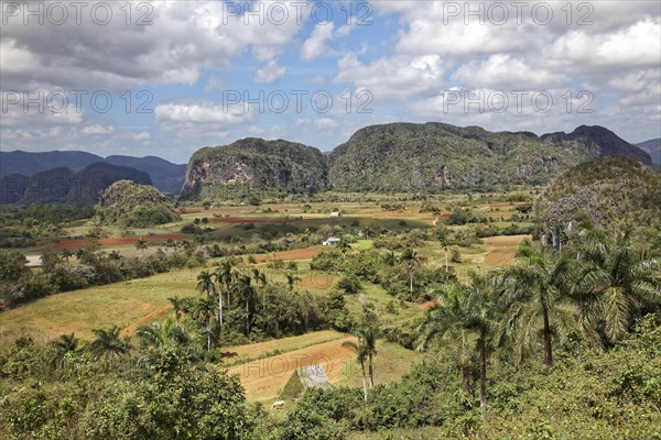 View from the Mirador Los Jazmines viewpoint of the landscape