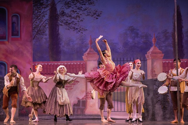 Don Quixote Ballet