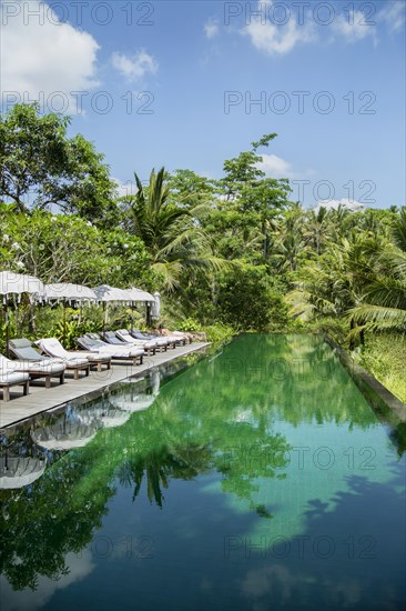 Infinity pool in Ubud