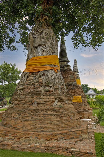 Weathered pagodas in the early morning at Wat Mahathat temple