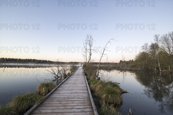 Wooden footbridge in the Schwenninger moss nature reserve