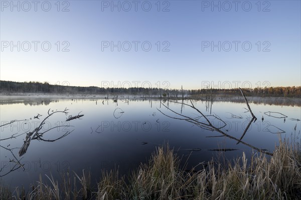 View over the Schwenninger moss