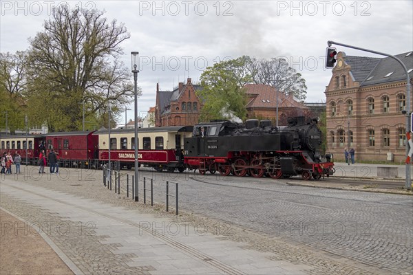 Molli steam train