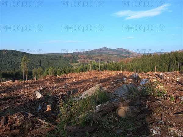 Forestry near Schierke