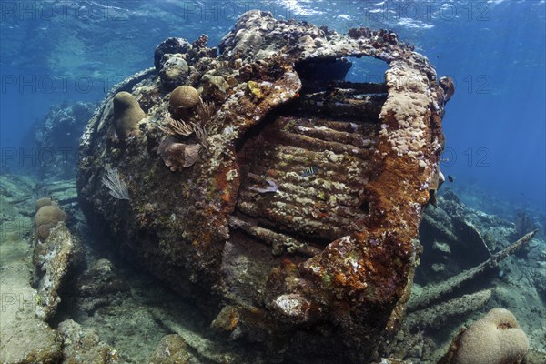 Shipwreck