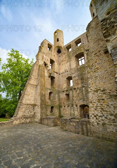 Hoher Schwarm Castle Ruin